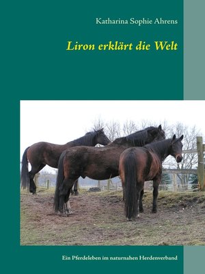 cover image of Liron erklärt die Welt
